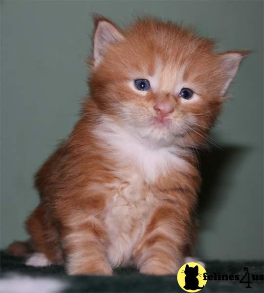 darrem Picture 2
